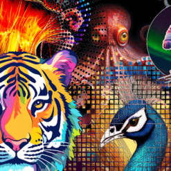 Dieren