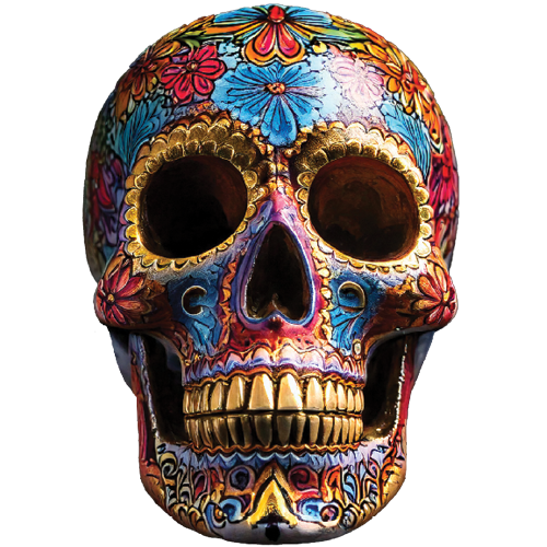 Skull C
